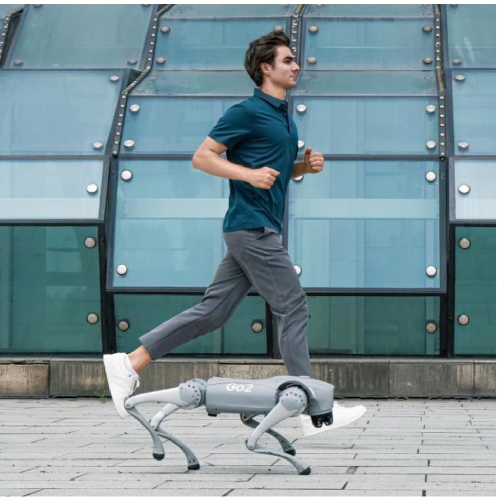 Unitree Go2 Air Robot Dog