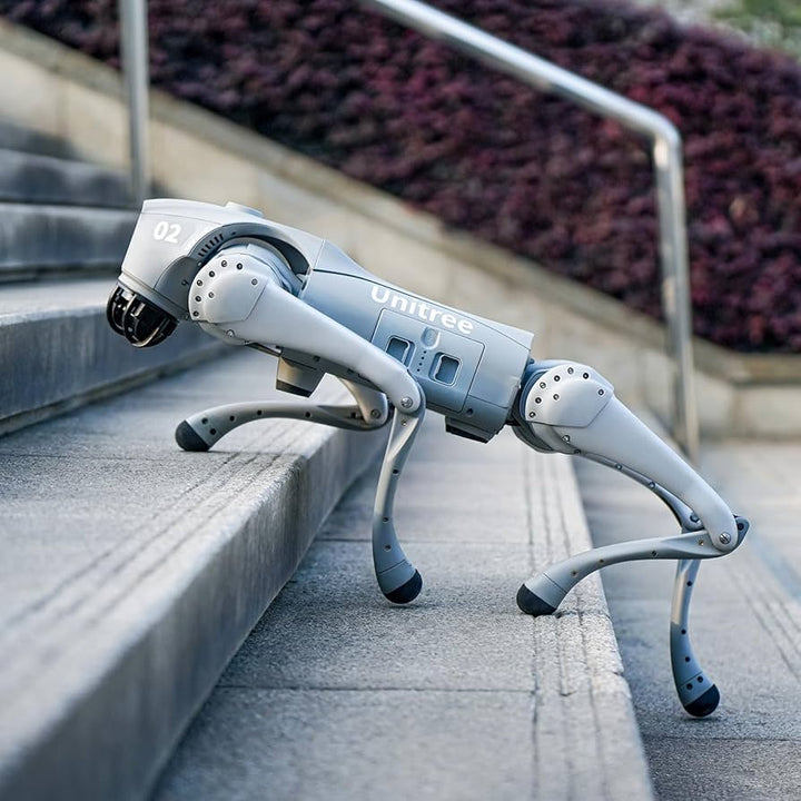 Robot